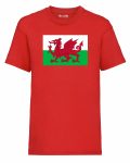 Children's Wales National Flag T-Shirt Ages 3-13yrs
